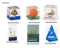 Lucite paper weight ( with items embedded)