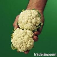 Baby Cauliflower