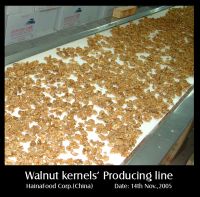 best walnut kernels