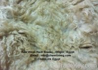 Back Washed Egypt Wool