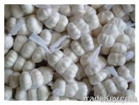 Fresh chinese Pure white Garlic