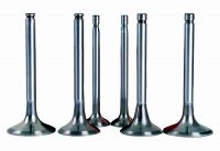 OEM ENGINE VALVES