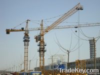 QTZ315(7035) tower crane