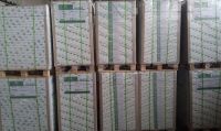 Woodfree/Offset Paper