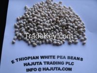 White Pea Beans