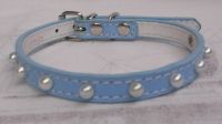 dog collar(cx-19)