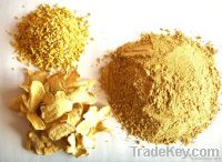 ginger powder