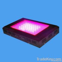 600W LED Grow Light