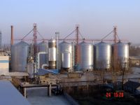 Grain steel silo with flat bottom and hopper bottom