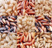 Rice - Thailand, India, Vietnam, Pakistan, ect.