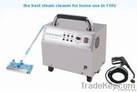 steam cleaner with 110v