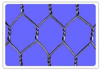 HEXGONAL WIRE MESH