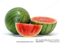 Fresh Watermelon