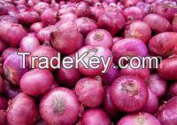 Fresh Venetables And Fruits, Garlic, Ginger, Onion, Green Chili, Tomatoes