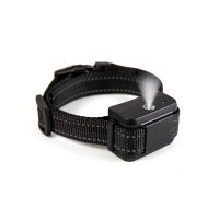 Digital pet/dog training collar