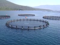 HDPE Cage For Fish Farms