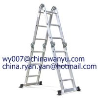 multi-purpose ladder (WYAL-1003)