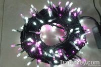 LED Christmas Lights