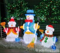 LED Christmas Lighting