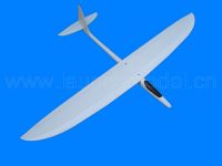 RC Glider Flying Fish