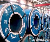 Stainless Steel Coil