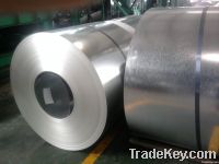 Hot Dipped Galvanized Steel Coils