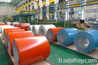 Prepainted Galvanized Steel Coil