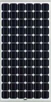 solar module