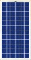 poly solar module