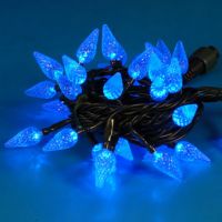 Led Christmas Light