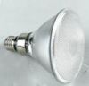 LED Par30 Lamp