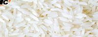 Basmati Rice Pk-385