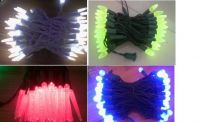 LED String Light