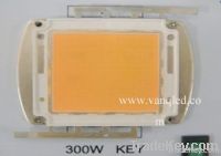 High power LED lights