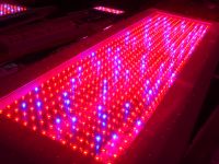 High Power LED Grow Light