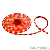 SMD5050 Flexible LED Strip Light