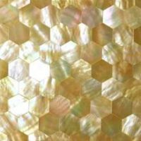 Shell mosaic
