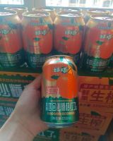 Guangdong Sihui Fruit Juice Beverage