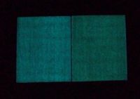 Wonderful Bamboo Flooring That Can Glow In Darkness