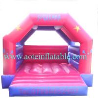 Inflatable Bouncer