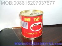 Canned Tomato Paste/Canned Tomato Ketchup