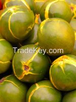 FLOUR LUCUMA