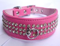 dog collar