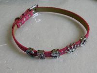 Dog Collar for Slide Charms