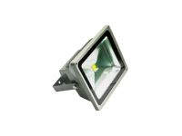 LED Floodlight