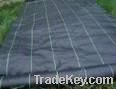 Grass Control Fabric