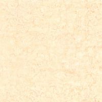 Polished floor tiles