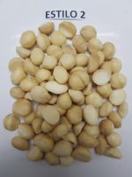 Macadamia Nut Kernel