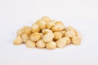 Raw Macadamia Nut Kernel