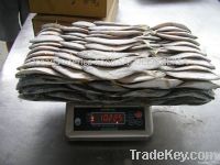 Bumper Fish- Chloroscombrus Orqueta - Leaf Fish